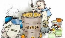 有肉漫画,揭秘有肉漫画的独特魅力